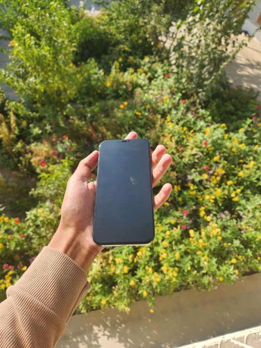 iPhone 12 pro max blue