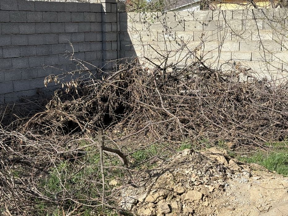 Отын дрова бесплатно отдам даром