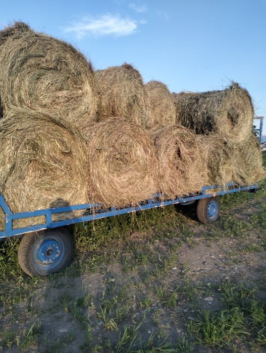 Vind baloți rotunzi