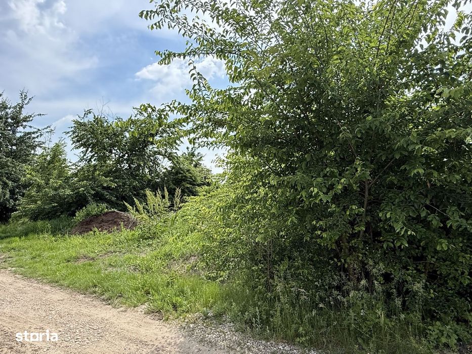 Teren intravilan 498,02 mp langa pădure , strada privata Corbeanca