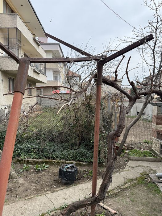 Стълбчета за асмалък