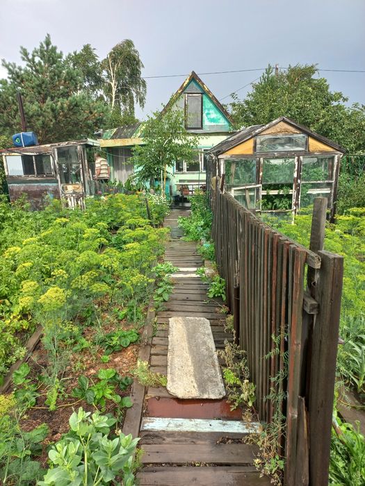 Продам дачу общество "Союз"