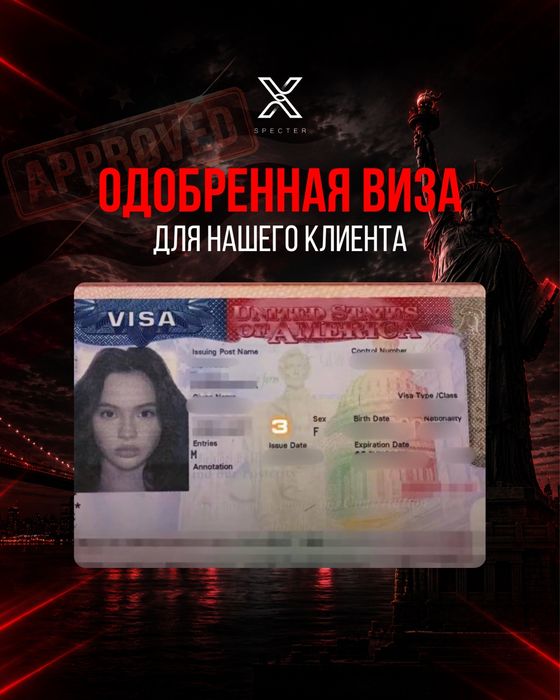 Виза в США B1 B2 F1
