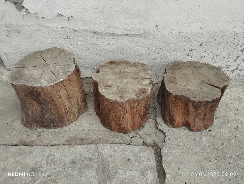 Ствол-тўнка для мясных работ