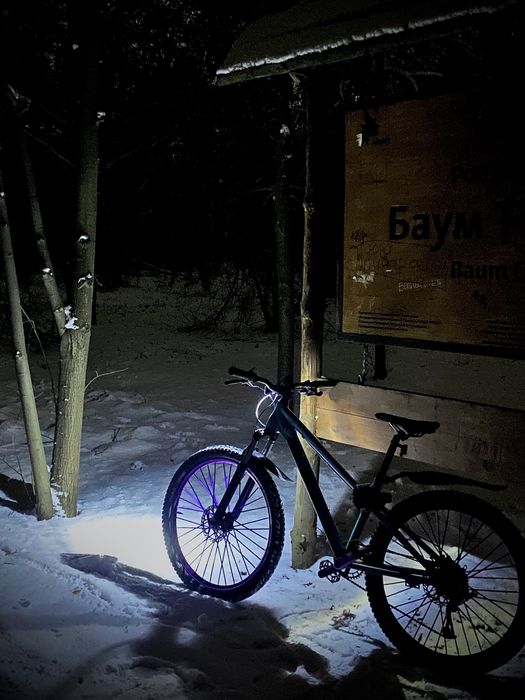 Велосипед Erec L100