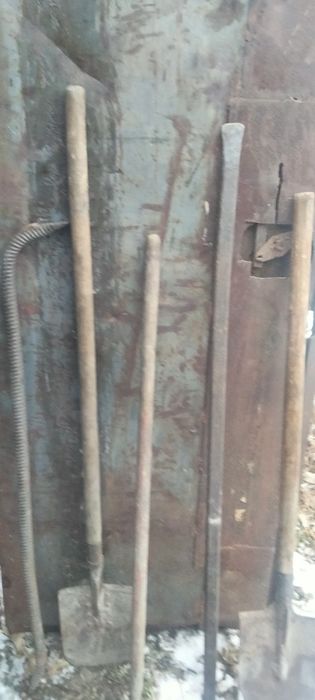 Продам срочно лапаты крепкие