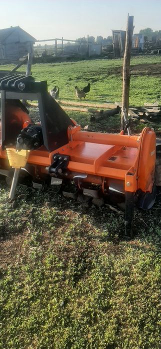 Почвофреза Индийская