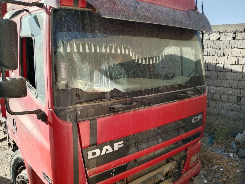 Даф сотилади. Холати яхши