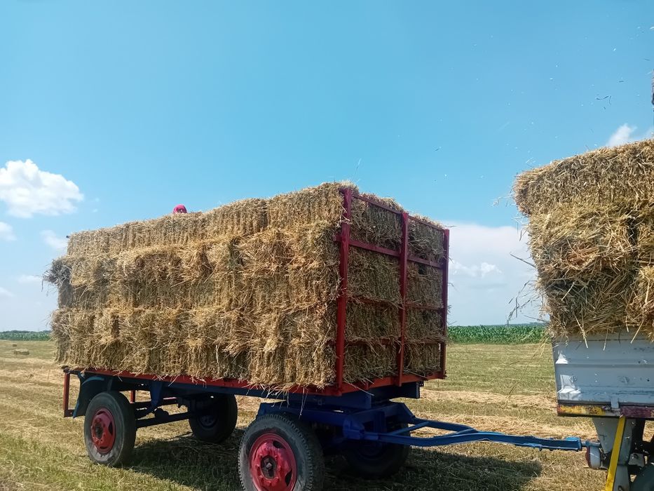 Vând baloti de ovăz cu lucernă măruntă in ei