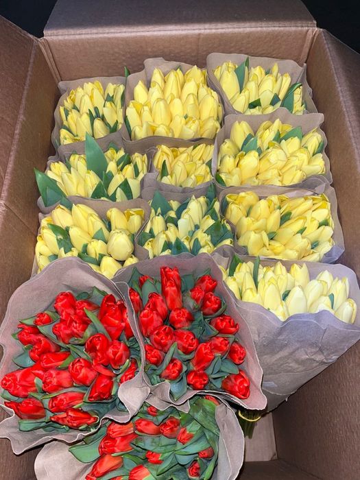 Тюльпан оптом со склада