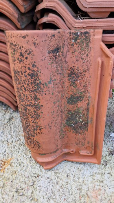 Vand tigla ceramica Toza Markovic Kikinda 977