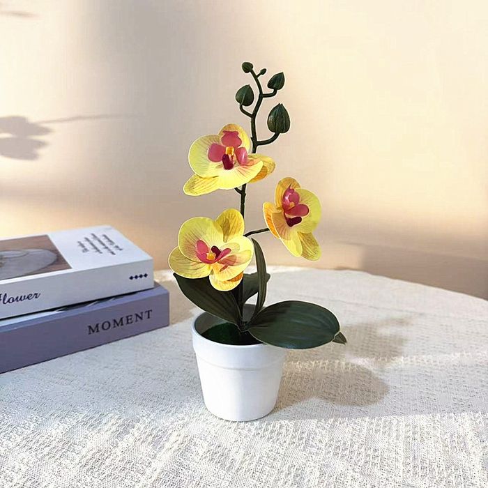 Ayollar uchun sovgʻalar.Arzon narxlarda sovun gul va sun'iy gul mahsul