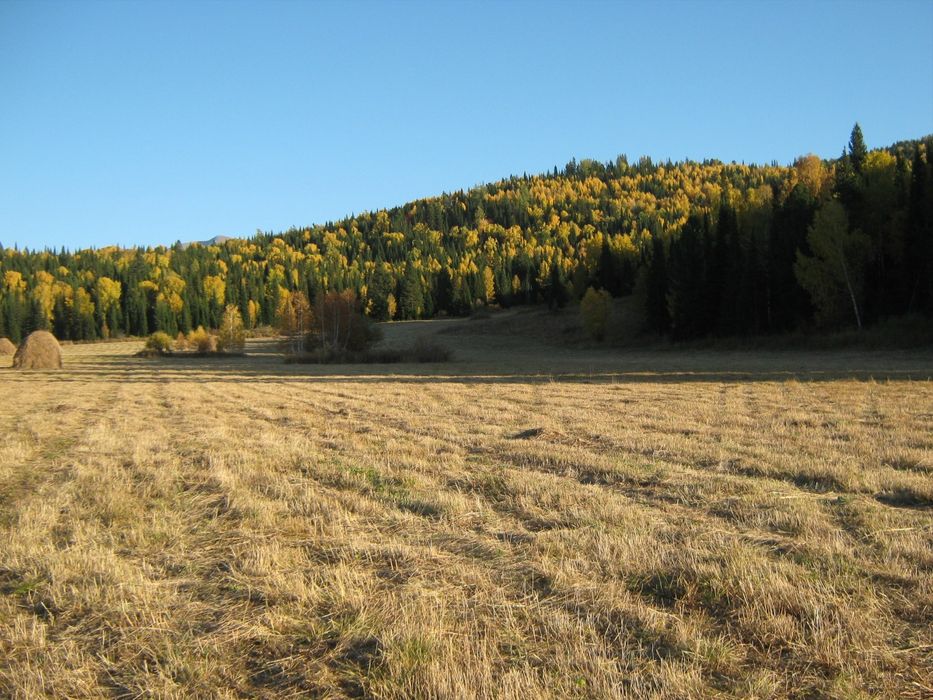 Земельный участок