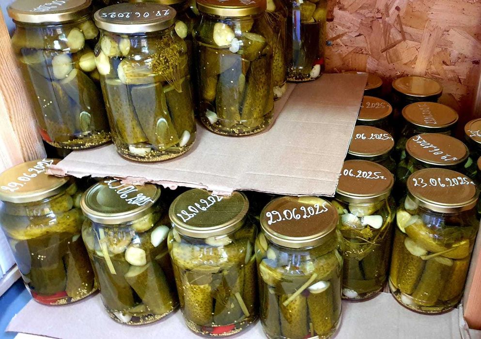 Соленья домашние
