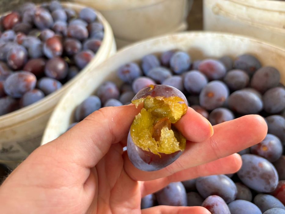 Фрукты овощи ягоды Атырау