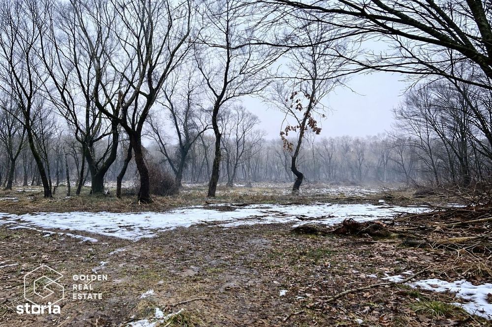 Teren 3.900 mp, Lipova – Șoimoș