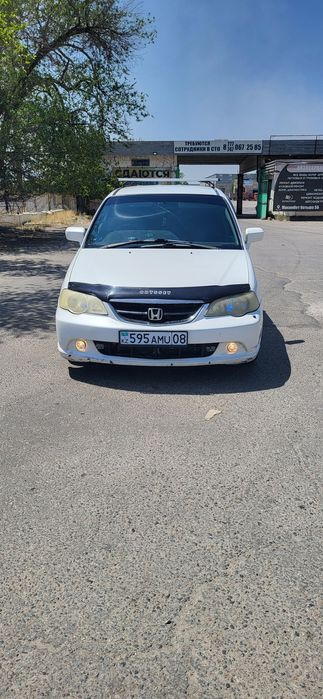 хонда одиссей абсолют