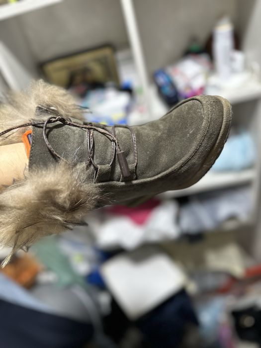 Полусапоги зима бесплатно