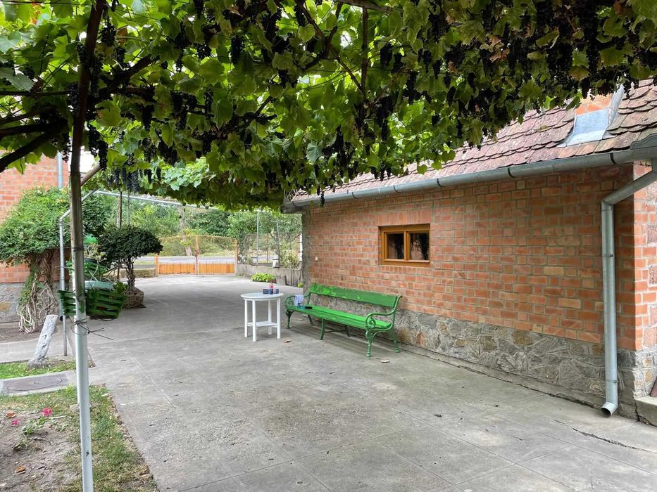 Casa, spatiu comercial, vad comercial, 7000 m², service auto, agro