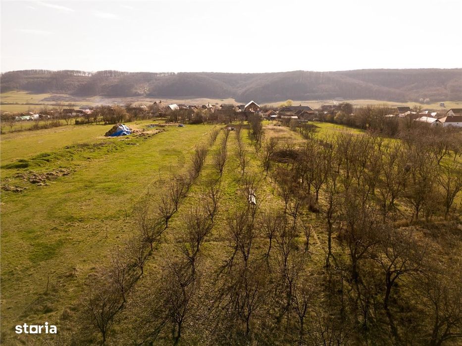 RECO Teren intravilan de vanzare in Betfia – locatie linistita, ideal
