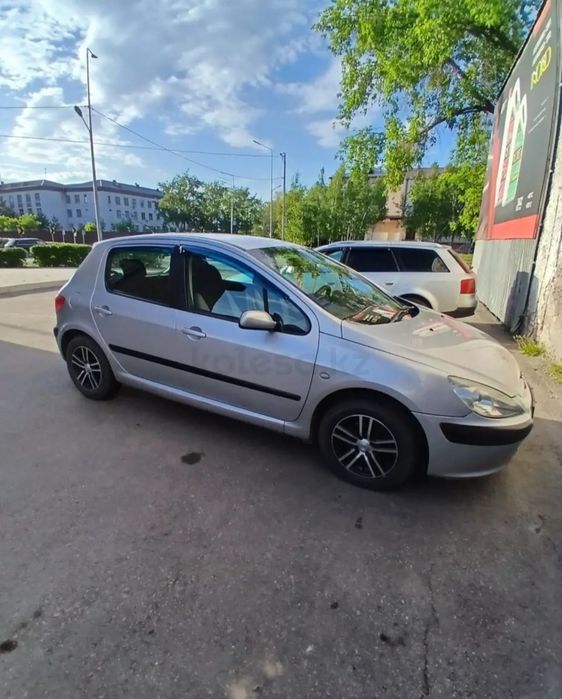 Промам Peugeot 307