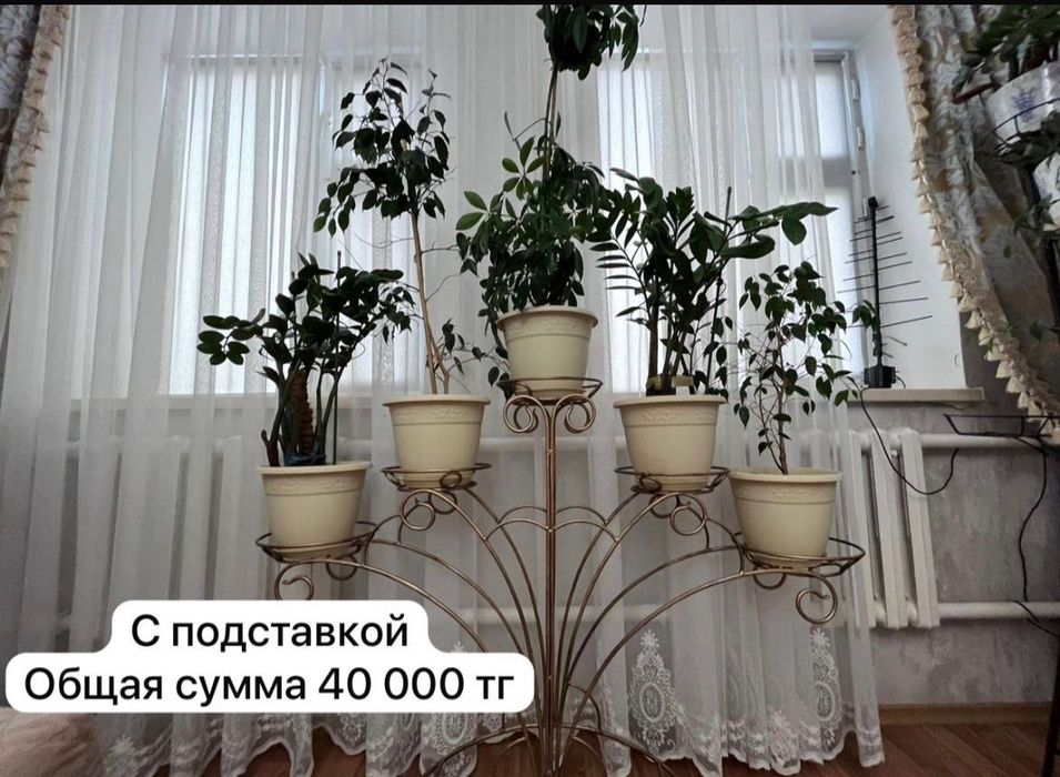Продается в связи переездом