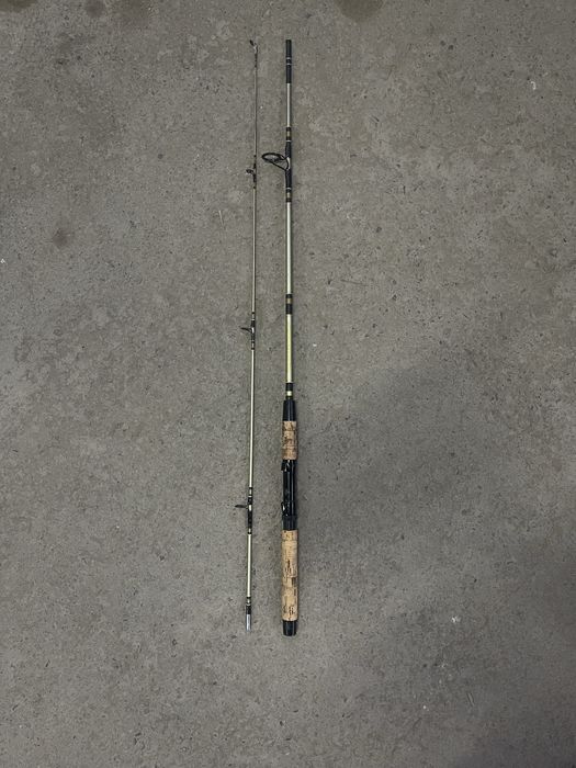 Спиннинг для ловли змееголова, судака