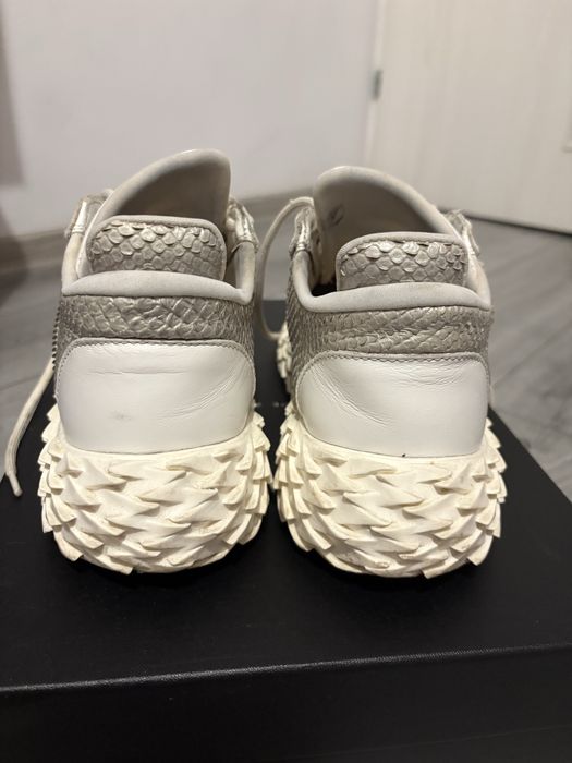 Giuseppe Zanotti Urchin Python