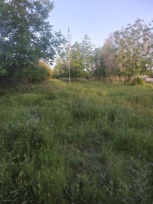 Йер 15 сутик сотилади