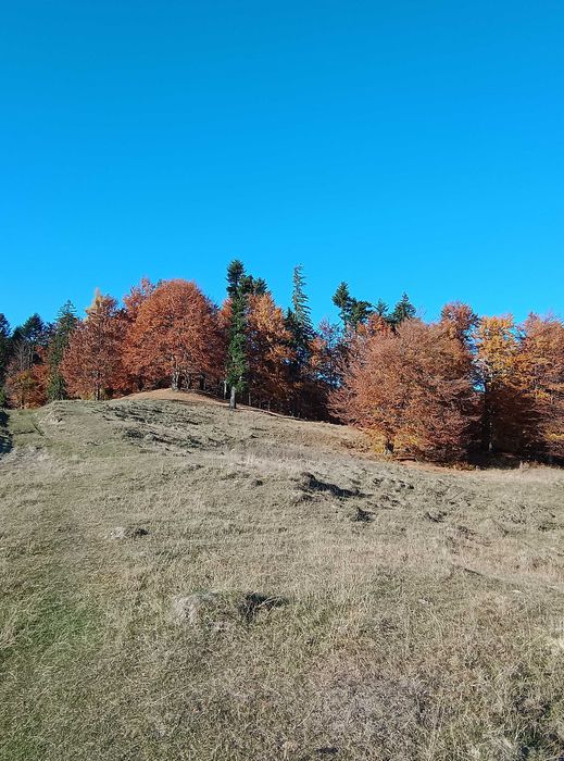 Teren la munte intre Breaza si Sinaia
