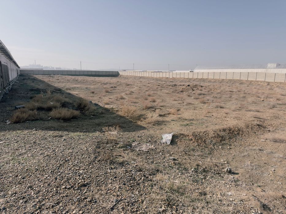 Tayyor baza sotiladi