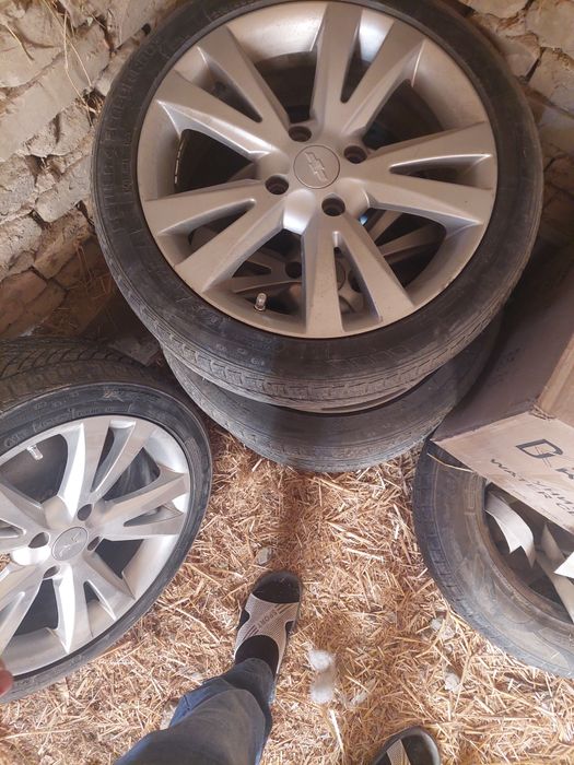 17 диска балони билан сотелади