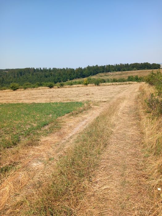 Teren de vânzare Ilisesti  în apropierea căminului de bătrâni