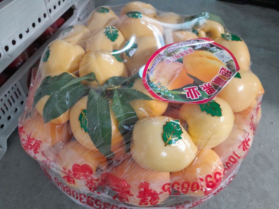 Арбуз тарвуз  доставка