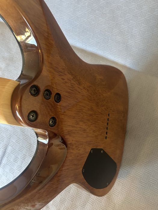 Электрогитара schecter c-6 pro