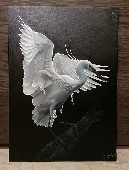 Картини По поръчкa, Карикатури, Портрети