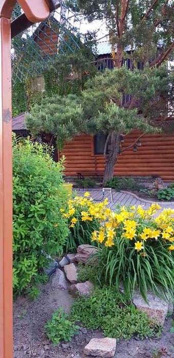 Продается дача в с/о Вагонник