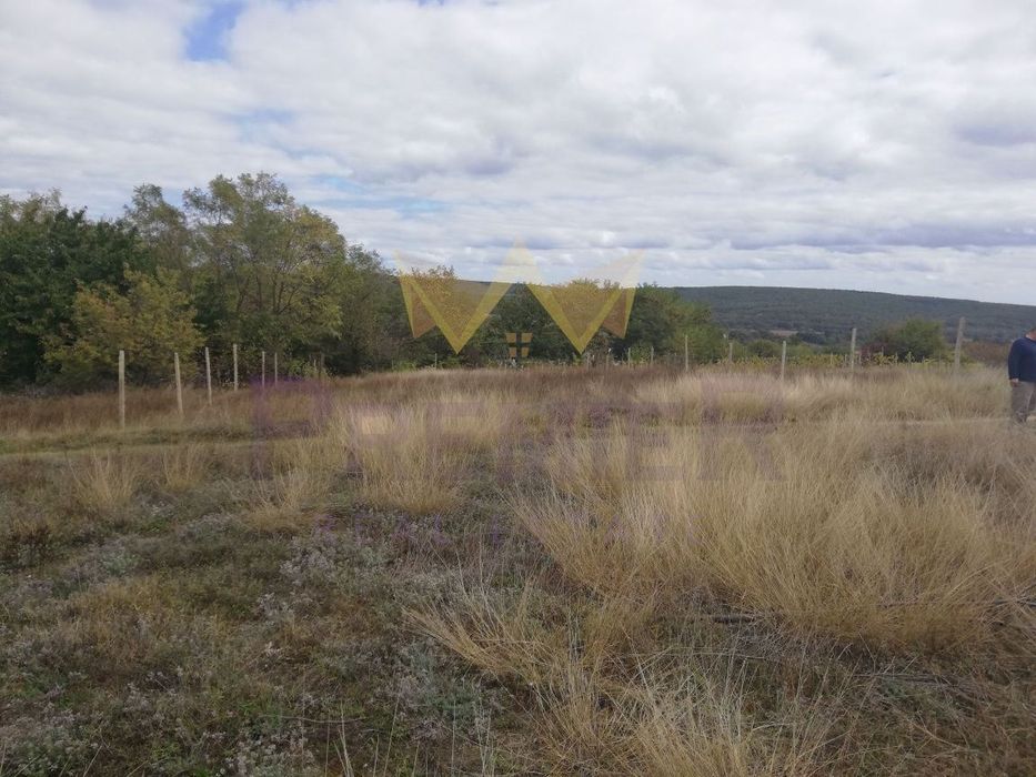 Парцел в обл. Варна, село Долен Близнак