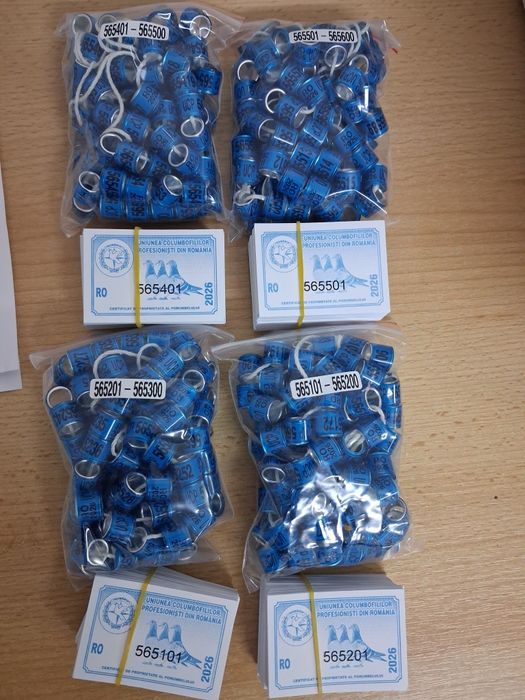 Inele porumbei 2026 cu talon