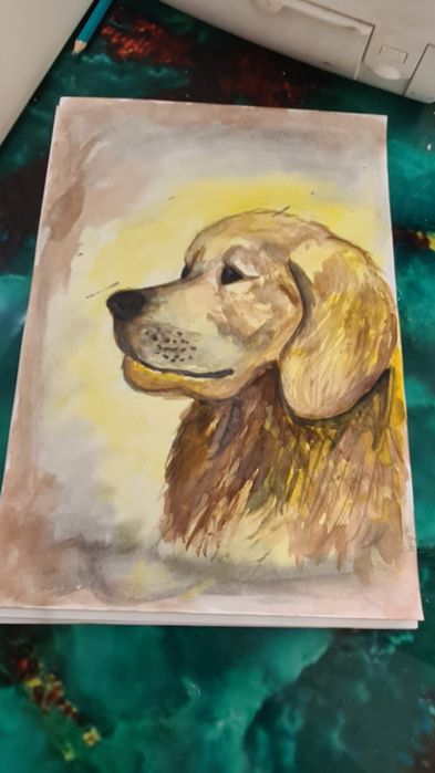 Рисунки акварель