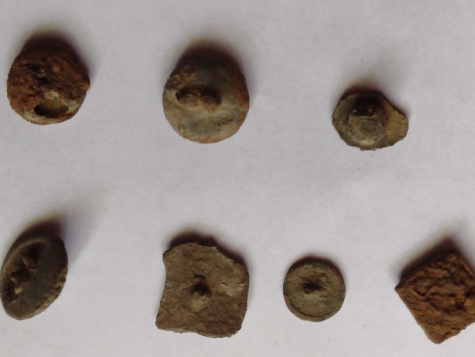 Nasturii lui napoleon