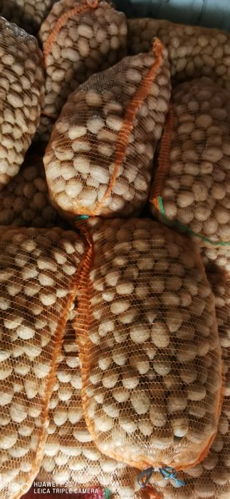 Cartofi samanta Harghita