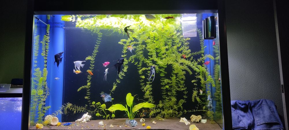 Заводской аквариум 425 л.