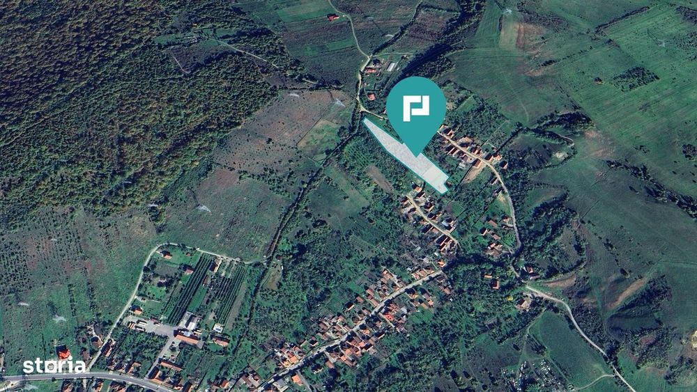 Teren fâneaţă lângă pădure - Hunedoara