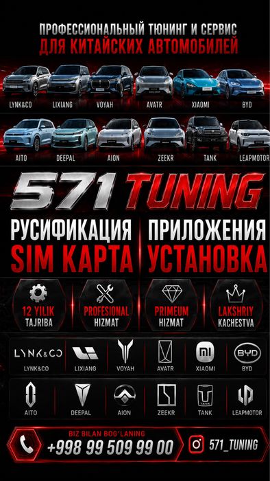Barcha turdagi Xitoy avtomabilari uchun Russifikatsiya Sim karta