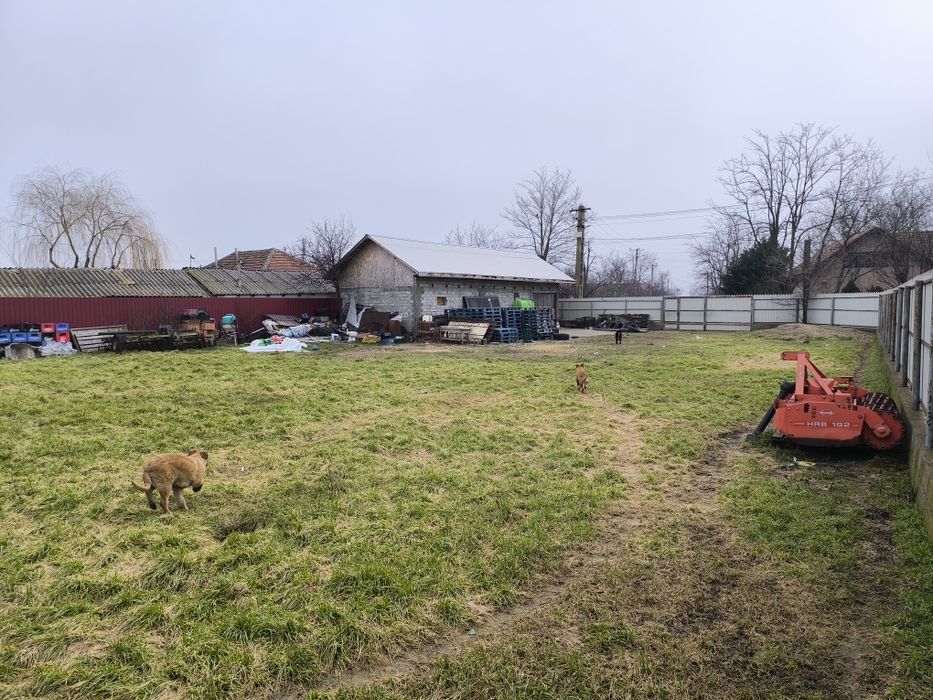 Casă de vânzare Maxenu Buzau