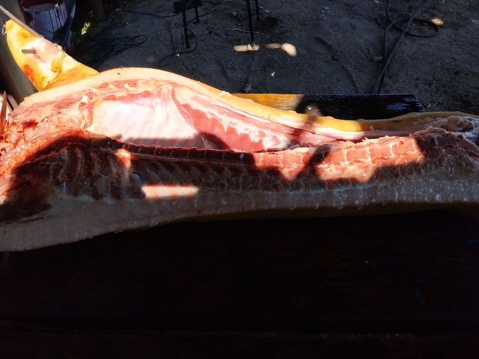 Мясо свинина домашняя