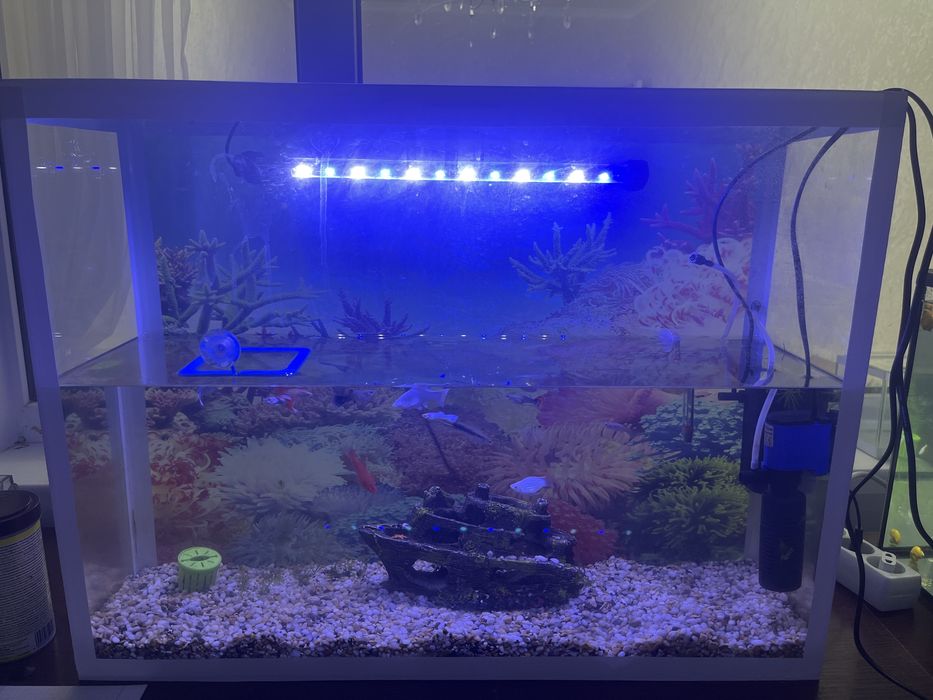 Аквариум продаю!