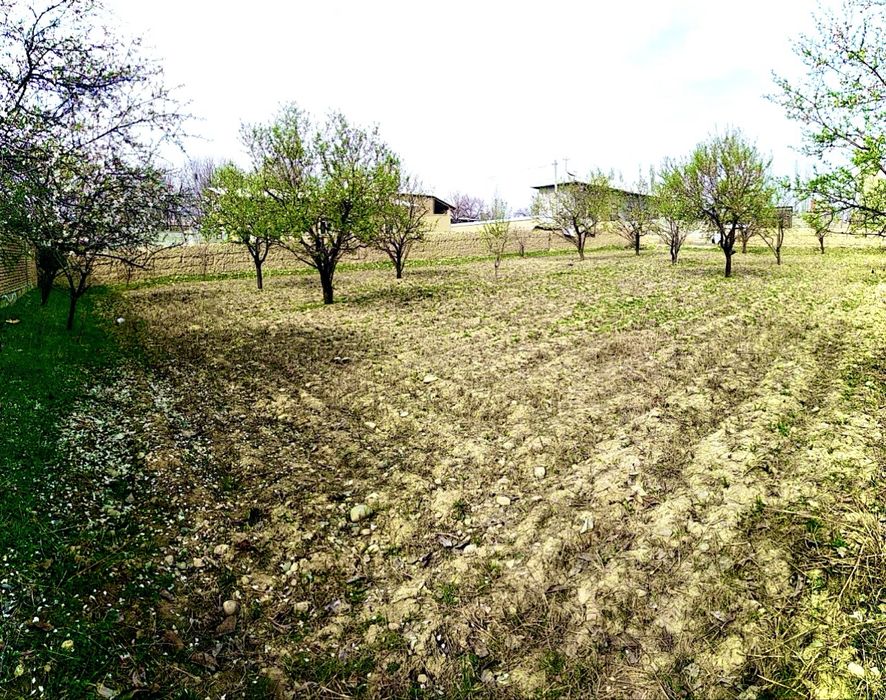 Namangan Turaqurg’on 10sotix sotiladi