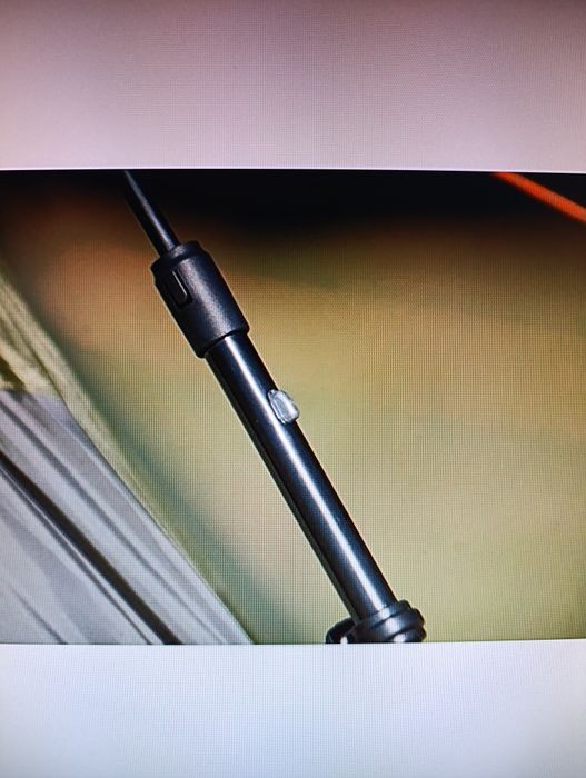 Cort Coleman Instant Dome 5